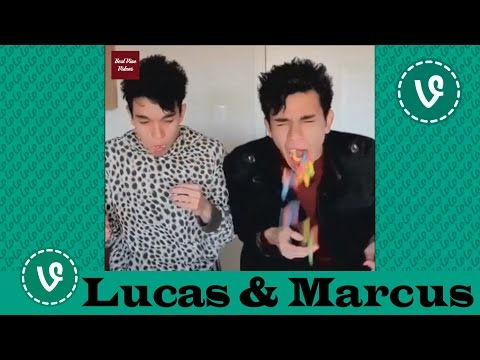 Lucas and Marcus VINES ✔★ (ALL VINES) ★✔ NEW HD 2016