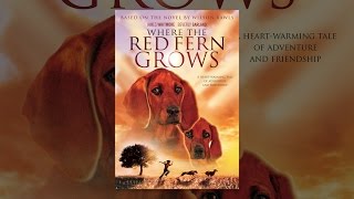 Where the Red Fern Grows