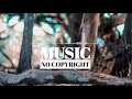 NO Copyright Music SAD BACKGROUND MUSIC FOR POETRY FREE BACKGROUND MUSIC NoN Copyright Sound