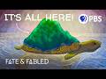 It’s Never Turtles All the Way Down | Fate & Fabled