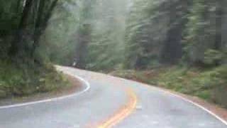 moe. and the Redwoods (Spaz Medicine)