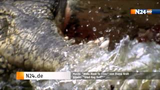Trailer Supermacht Natur (Massive Nature) Diana Krall Wide River to Cross