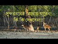 Sundarbon! Where to go!! What to see!!! সুন্দরবন ভ্রমণের বাস্তব অভিজ