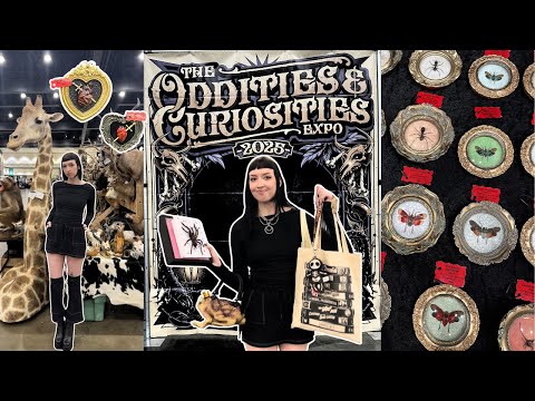 Oddities and Curiosities Expo 2025 | huge haul, taxidermy classes, and spooky vendors