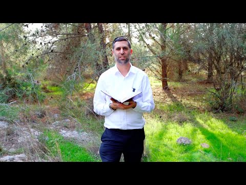 Bitachon 39 - Path to Spiritual Greatness