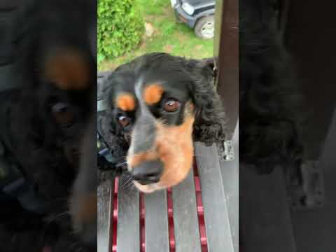 Halinówka Góry Sowie, szczyty, dom gościnny