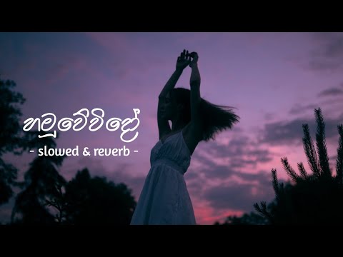 Hamuvevido (හමුවේවිදෝ) slowed & reverb song | PN MUSIC