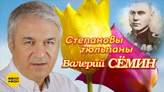 Валерий Сёмин - Степановы тюльпаны