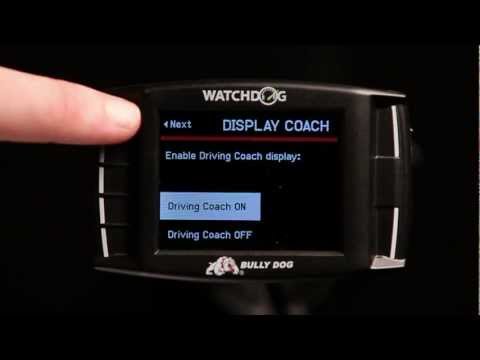 WatchDog: Setup