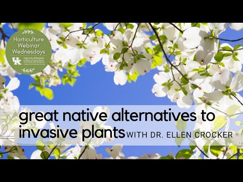 , title : 'Great Native Alternatives to Invasive Plants
