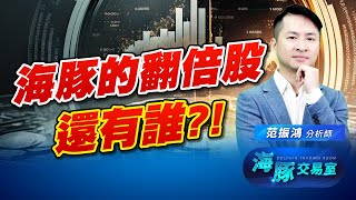 萬物起漲! 海豚的翻倍股還有誰?