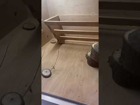 Клетка-вольер-витрина для грызунов К-24b 80-46-146 см - фото 1 - id-p3097696031