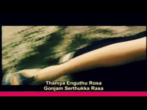 Pinjre mein popat bole Vs Riba Riba video Dj remix