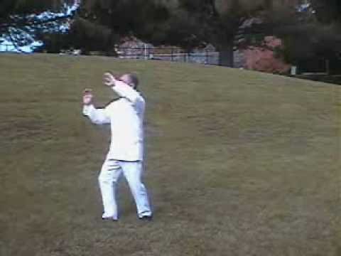 Wu (Hao) Tai Chi - Master Liu Jishun - 武式太極拳