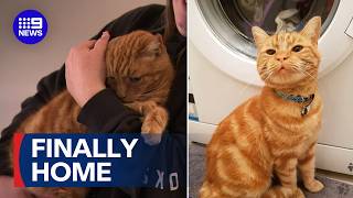 Missing cat returned home after 11 years | 9 News Australia