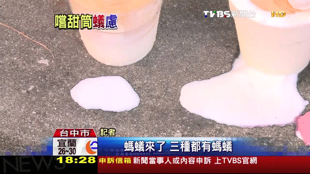 連螞蟻都不吃? 霜淇淋放1天沒蟲光顧