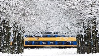 Winter in Nederland ~ Palladio for String Orchestra (Karl Jenkins) [HD]