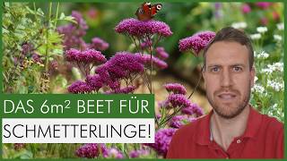 Das perfekte Schmetterlings-Beet: Anleitung & Pflanzen für Falter & Raupen