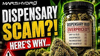 Before You Buy Cannabis at a Dispensary… Watch This