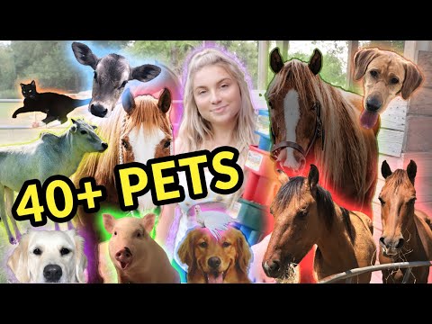 Feeding ALL My Pets in One Video | 40+ Pets!