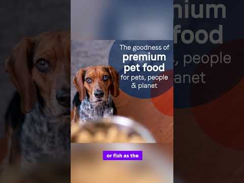 Pure Goodness for Your Pup: CANIDAE PURE Duck & Turkey 🐶