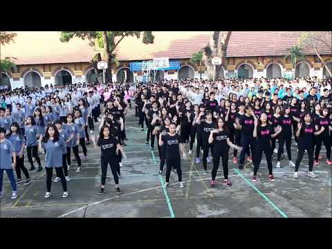 Yellow Team 2026 "wavin' Flag"