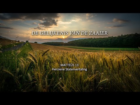 DE GELIJKENIS VAN DE ZAAIER