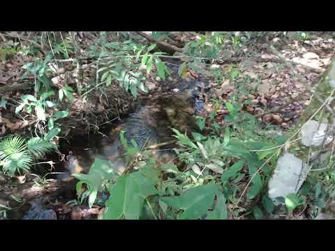 Chácara 7 ALQU VALOR 1.500,000 10 KM DE MOSSAMEDES GO 130 KM DE GOIÂNIA 62 981414270 (So a TERRA) 