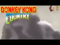 DKC Tv Meme Donkey Kong Diddy Kong E Rambi Na Vida Real