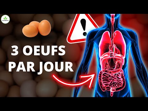 Ce qui se passe RÉELLEMENT dans votre corps si vous mangez 3 œufs par jour