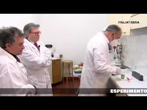 , title : 'Ιταλοί γιατροί κάνουν τεστ σε ακτινίδιο: θετικό στον κορωνοϊό'