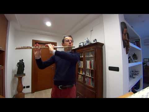 Giampaolo Pretto: The Quarantine microconcerts - 2 - G. P. Telemann - Fantasia nr. 4 in B flat (HD)