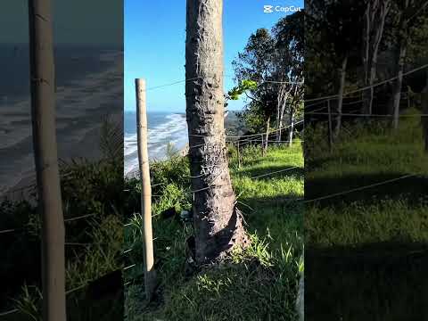 Siga o canal e acompanhe nossas viagens. #bahia #vlog #ilheusbahia #travel #brazilian #itacaré