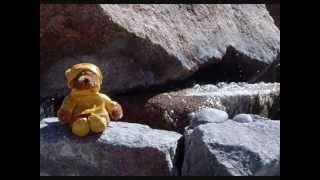 Teddy Bear's Picnic (Jerry Garcia and David Grisman)