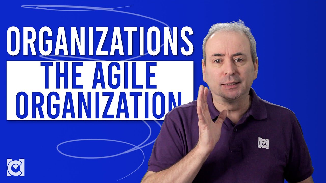 What is The Agile Organization?