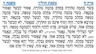 מסכת חולין פרק ח משנה ד