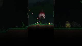 el Ojo de Cthulhu menos inteligente #terrariaost #terrariagameplay #viralshorts
