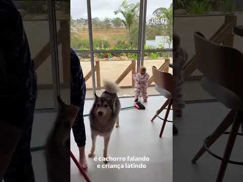 GUDAN E TUTU TROCARAM DE PAPÉIS?