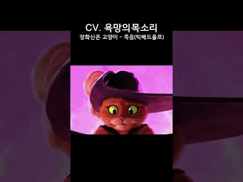 비디오 5