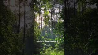 Download lagu tembakan kapas tembak di alam liar cocok buat masteran mp3