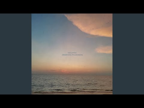 Awakening Wilderness