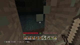 エンドラ討伐するまで止まらないマイクラ