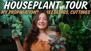 INDOOR PLANT TOUR |🌿 My entire Propagation Collection