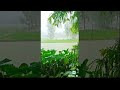 Rain Watsapp Status Barish Status Barish Watsapp Status Full Screen Rain Day