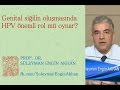 Prof. Dr. Süleyman Engin Akhan Prof. Dr. Süleyman Engin Akhan