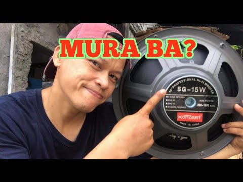 VIDEOKE TIPS/ GENERIC NA SPEAKER SIZe 15... KOZERT 800 TO 1000WATTS