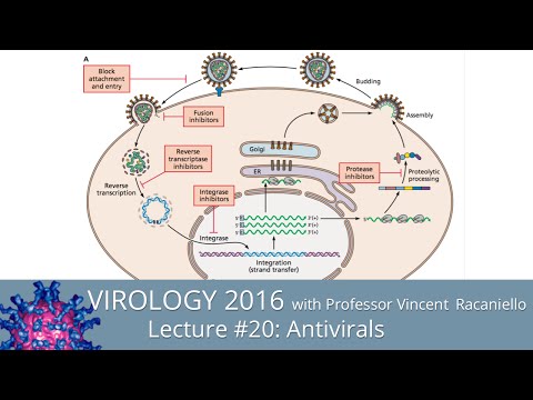 Virology Lectures 2016 #20: Antivirals