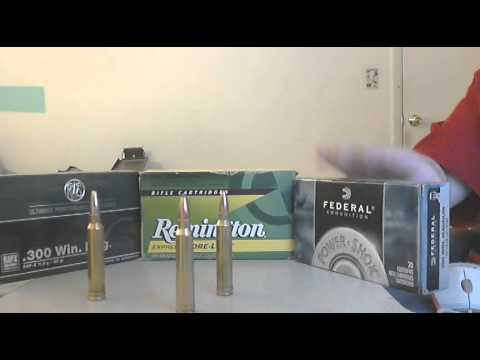 243 Winchester WINNERS?! Ballistic Silvertip Hunting Ammo Test