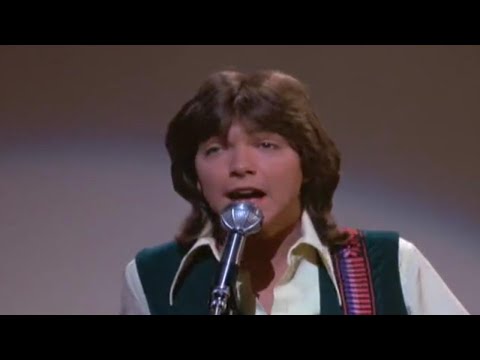 David Cassidy Dies of Organ Failure at 67