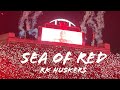 Sea Of Red RK Huskers